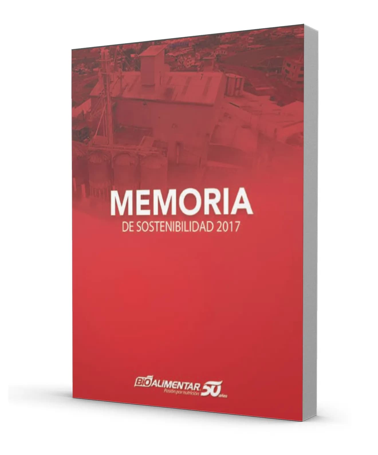 Memoria de Sostenibilidad 2017