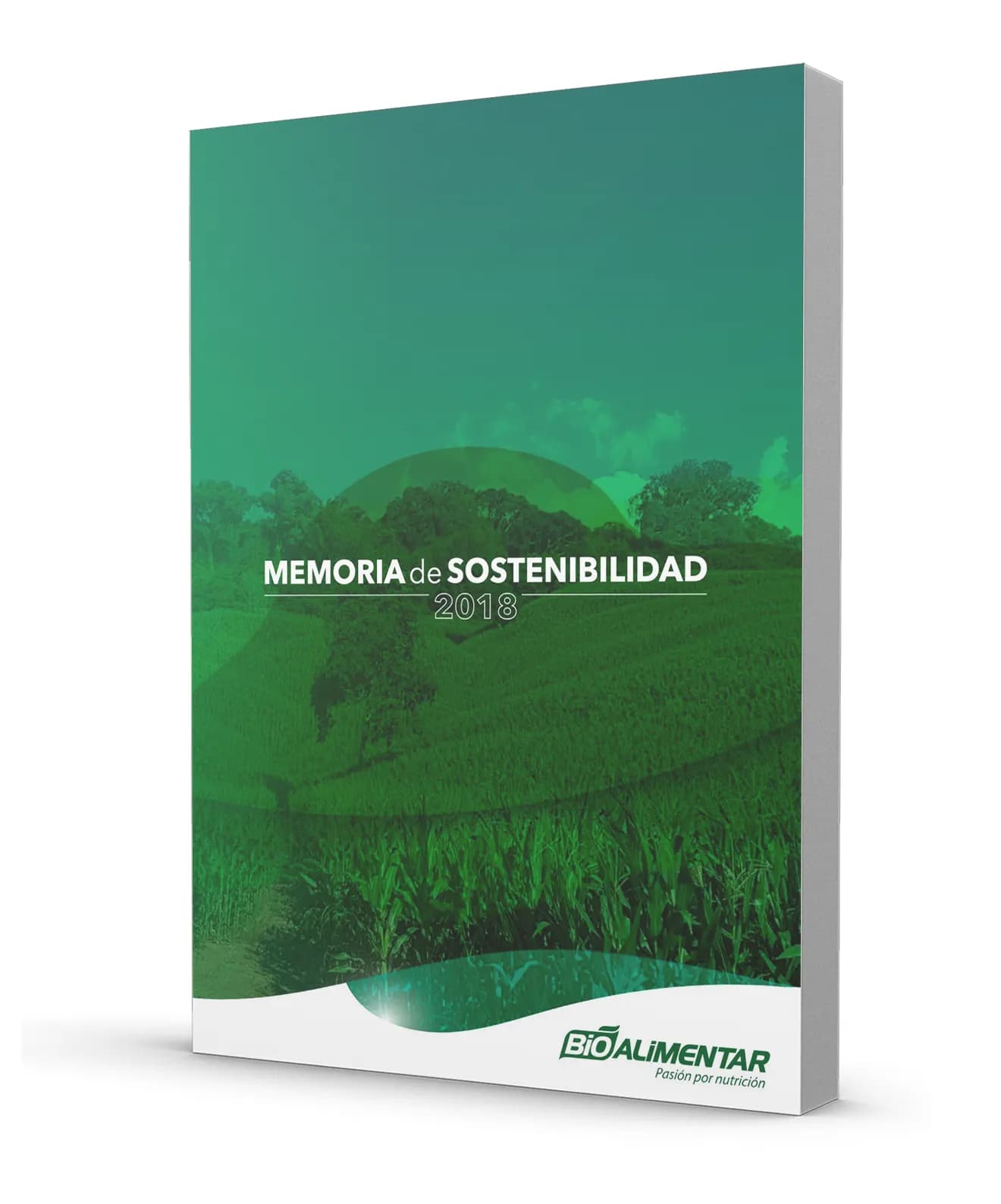 Memoria de Sostenibilidad 2018