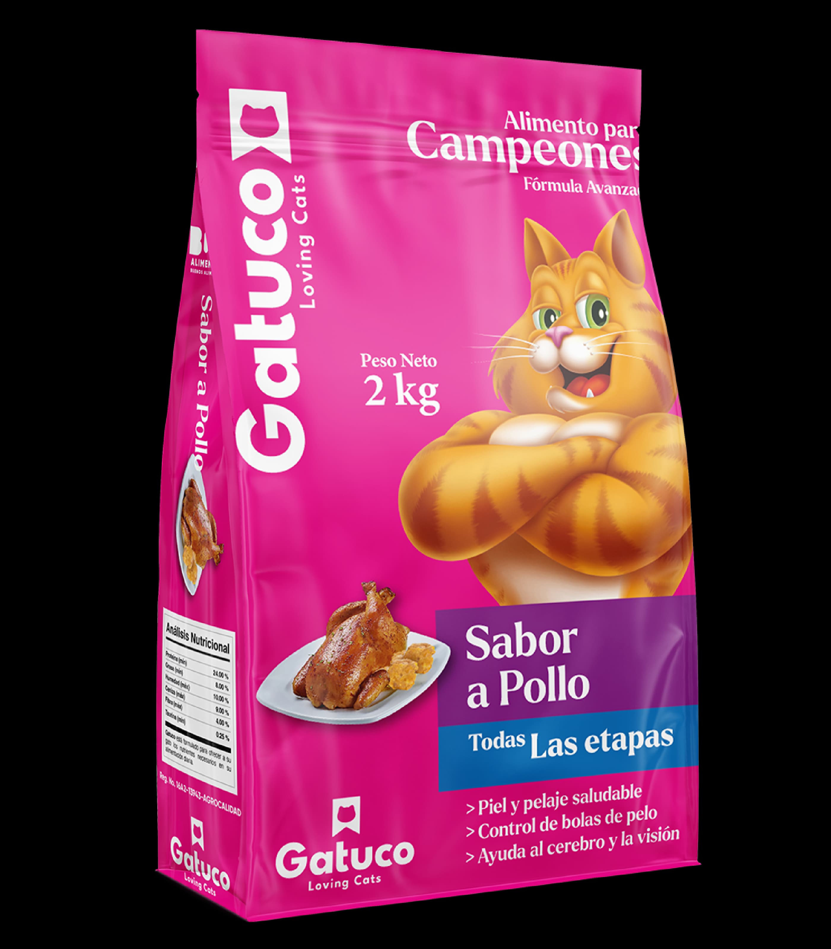 Gatuco todas las etapas