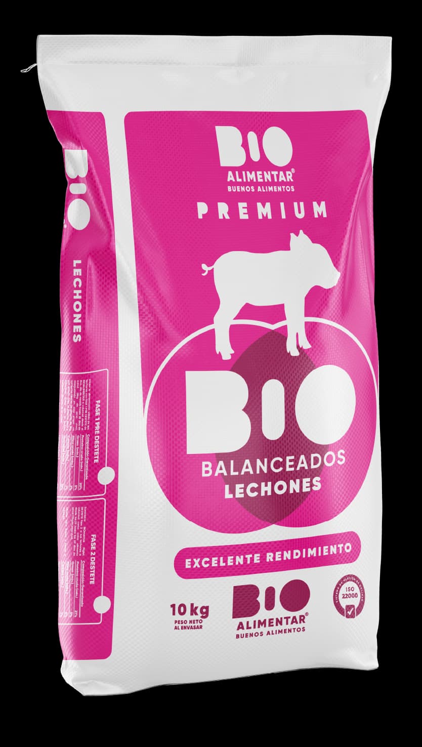 Lechones Predestete