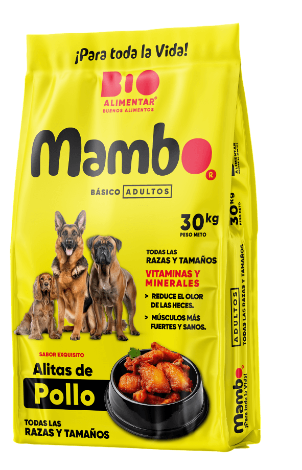 Mambo dog CACHORROS