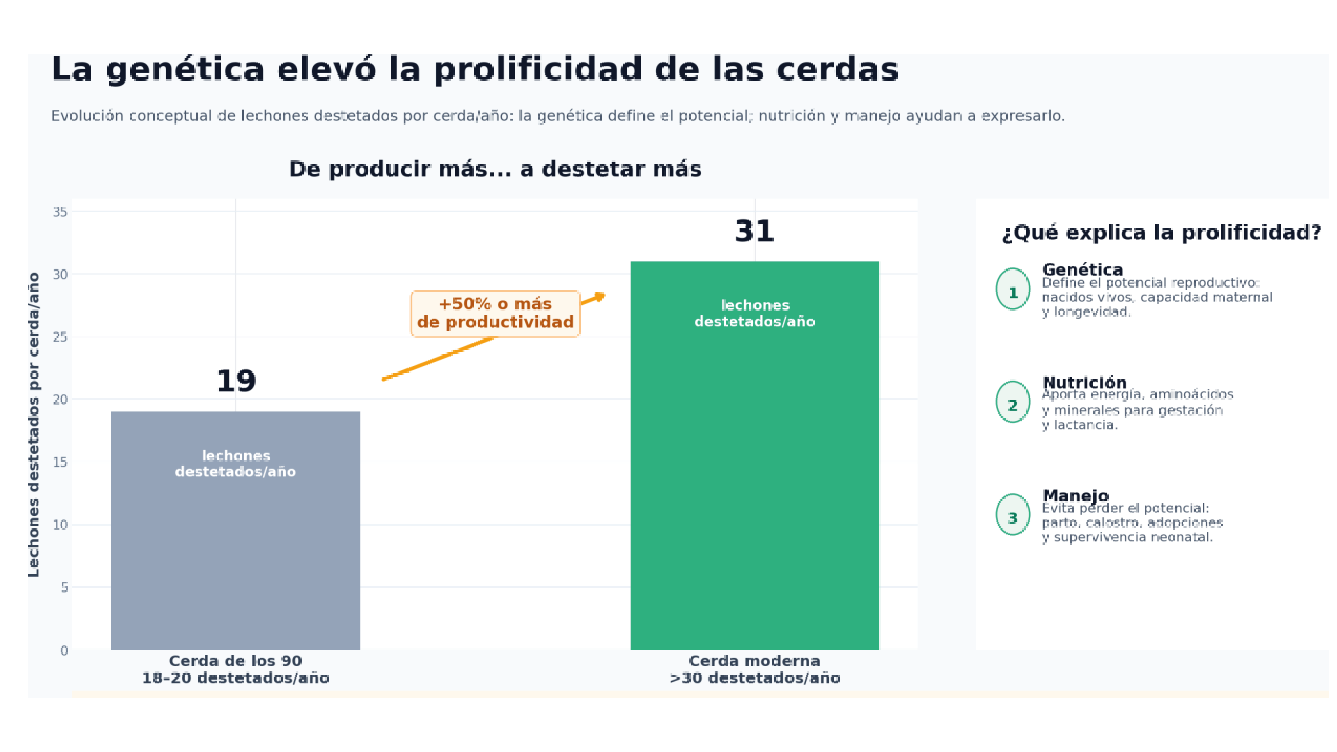 La genética elevó la prolificidad de las cerdas