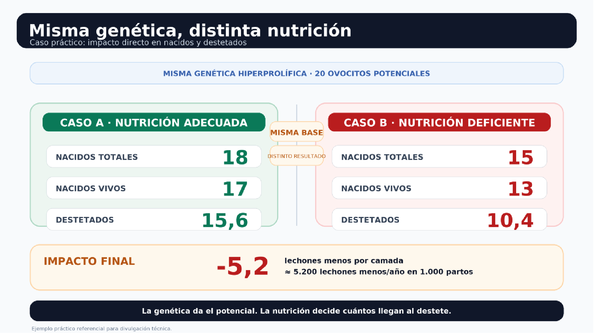 Misma genética, distinta nutrición: impacto directo en nacidos y destetados